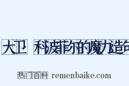 大卫·科波菲尔的魔力造句是什么意思的图片